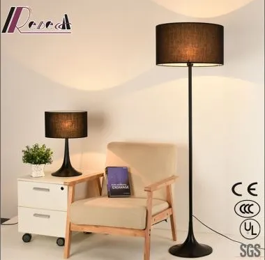 Decorative Euro Style Metal Body Adjustable Floor Lamps with Home
